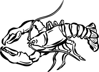 Cartoon Crustacean Shrimp Lobster Fish Vector Illustration