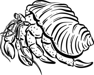 Crab Crustacean Shell Vector Cartoon Illustration