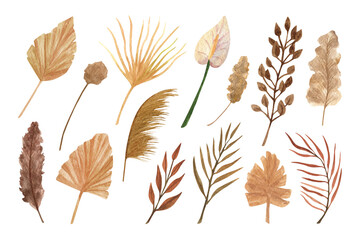 Obraz premium Boho dried flowers set. Boho wedding bouquet. Hand drawn watercolor clipart with earthy colors