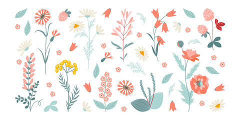 Set of vector illustrations of wildflowers and plants