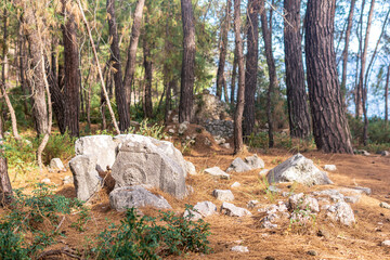 ancient stone with a pattern in the forest at the site of the abandoned antique city of Phaselis, Turkey