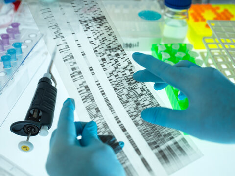 Hands of scientist wearing surgical gloves analyzing DNA sequencing result chart