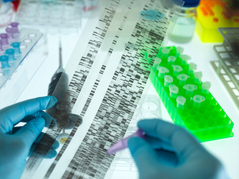 Hands of scientist wearing surgical gloves analyzing DNA sequencing result chart