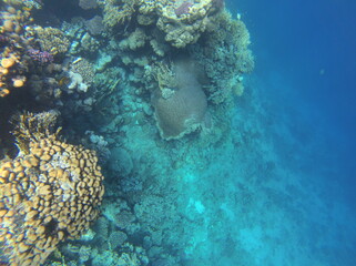 Sharm El Sheikh, Egipto