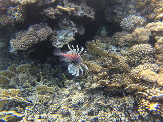 Sharm El Sheikh, Egipto