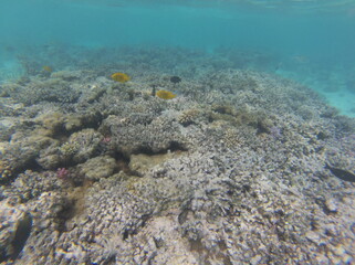 Sharm El Sheikh, Egipto