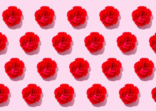 Pattern of heads of red carnation flowers flat laid against pink background