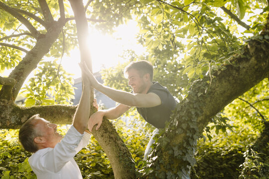 Happy son doing high-five to father while climbing on tree in back yard during sunny day