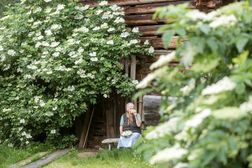 Senior woman smelling European black elderberry flower