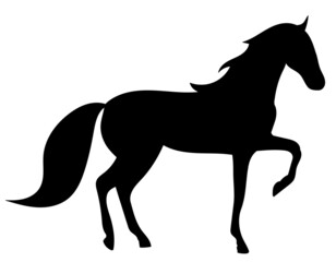 horse silhouette on white background, isolated, vector
