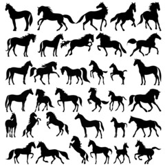 horse silhouette set on white background, isolated, vector