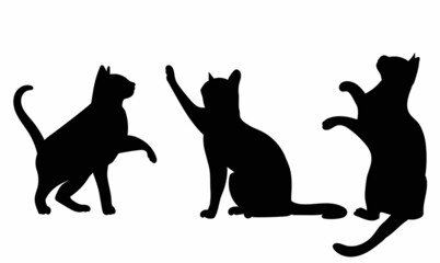 silhouette of a cat on a white background, isolated, vector