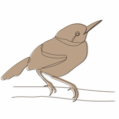 bird on a branch, picture sketch, vector, isolated