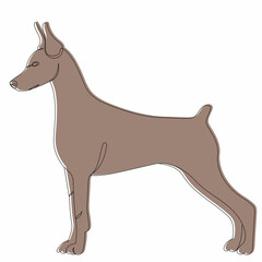 dog brown, picture sketch, vector, isolated