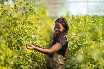 Smiling female farmer examining crops at greenhouse