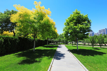 Urban greening landscape, North China