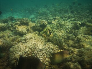 Sharm El Sheikh, Egipto