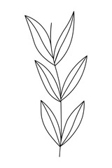 Sketch spring floral plants with leaves. Botanical Isolated illustration element. Vector hand drawing branch for background, texture, card, wrapper pattern, frame or border.