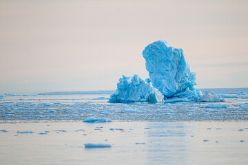 Broken off glacial ice floats in the arctic sea
