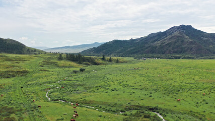 Fototapeta premium Beautiful panorama of mountains, mountain river, Nature of Russia, Taiga, Trail of the Ancestors, Yenisei river, Khakassia, Russia