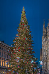 Fototapeta premium christmas tree in Piazza Duomo 