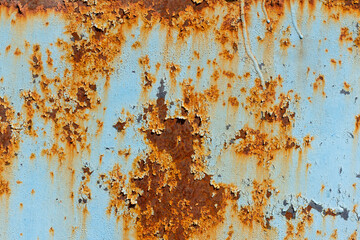 A rusty blue metal wall with fallen paint, a rusty background.