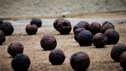 turkey berry dried scattered