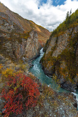 Top view of the mountains and the Chuya river in autumn. Altai Republic, Russia
