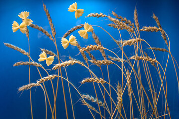 wheat, pasta and sun on blue background 