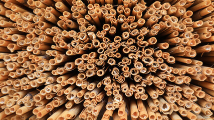 Reed curtain cross section, close-up photo