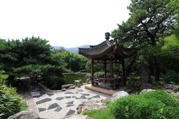 Fototapeta na wymiar Pond scenery of Beijing Botanical Garden