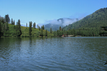 natural forest lake landscape photo