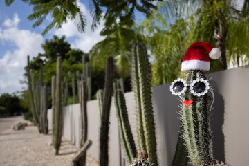 Fun big cactus with Christmas hat and sunglasses. Christmas in the tropics.