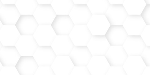 Fototapeta premium abstract white background with hexagons