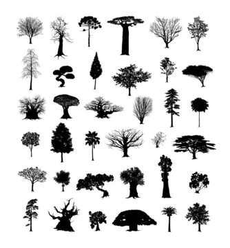Set of black trees. Vector objects for creating patterns, wallpapers, and decorations.