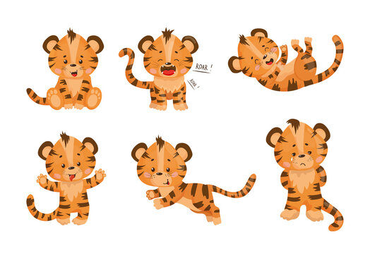 Collection of cartoon illustrations with tiger performing different actions. Colorful cute character.