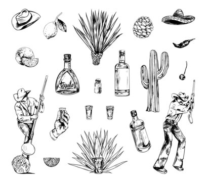 Collection of monochrome illustrations of tequila production in sketch style. Hand drawings in art ink style. Black and white graphics.