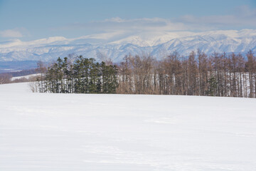 冬の晴れた日の雑木林と山並み
