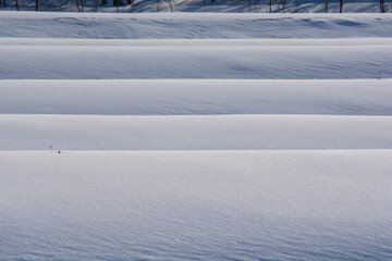 Obraz premium 雪が積もった棚田の影 