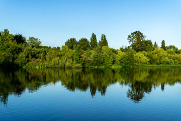 Fototapeta na wymiar Crystal and turquoise water of the Trout Lake in Vancouver and green trees on the shore