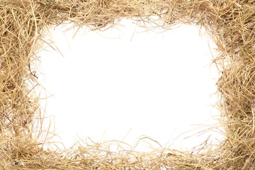 Foto op Plexiglas Frame made of dried hay on white background, top view. Space for text © New Africa