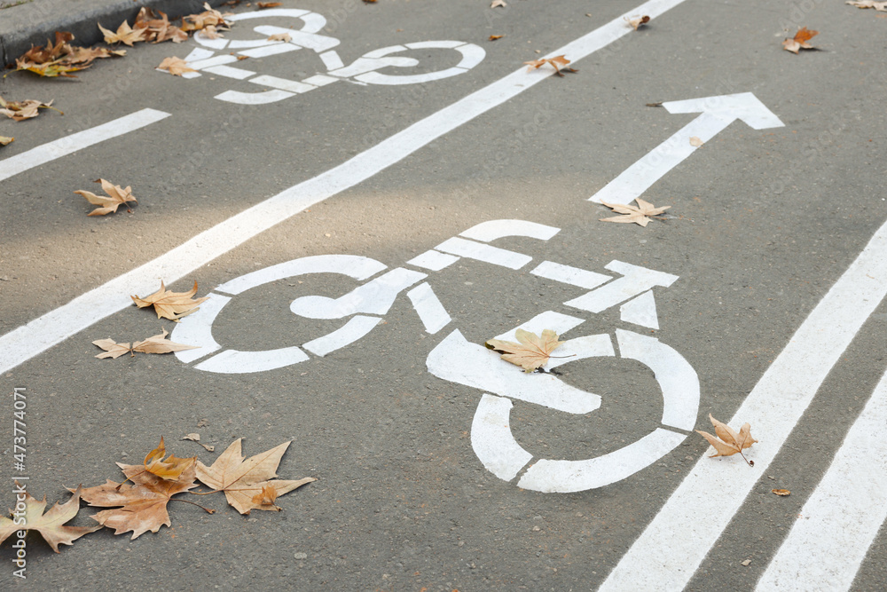 Wall mural Two way bicycle lane with white signs on asphalt