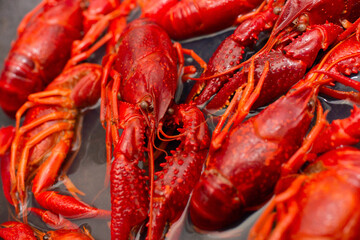 Chinese Spicy crayfish, Chinese Food.boiled crayfish on an iron plate. boiled red crayfish background for menu. top view, closeup,soft focus image.