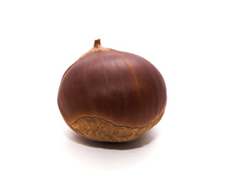 栗の実（白背景）