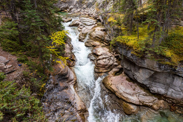 Obraz premium waterfall in the forest