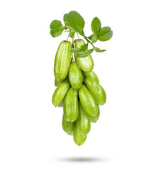 Bilimbi fruit (Bilimbing, Averrhoa bilimbi Linn) with leaves isolated on white background
