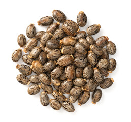 Castor beans isolated on white background, top view