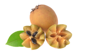 sapodilla fruit with green leaves isolated on the white background