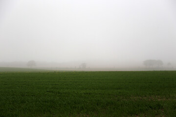 Obraz na płótnie Canvas Landschaft im Nebel an der Ostsee