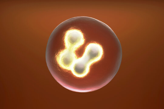 Three dimensional render of mitosis process
